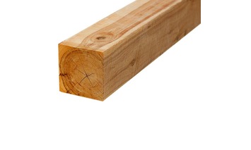 Cypress Post 150x150x3000mm